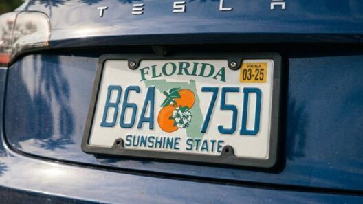 Renovar el registro del carro en Florida: los quioscos de Publix también abren los fines de semana