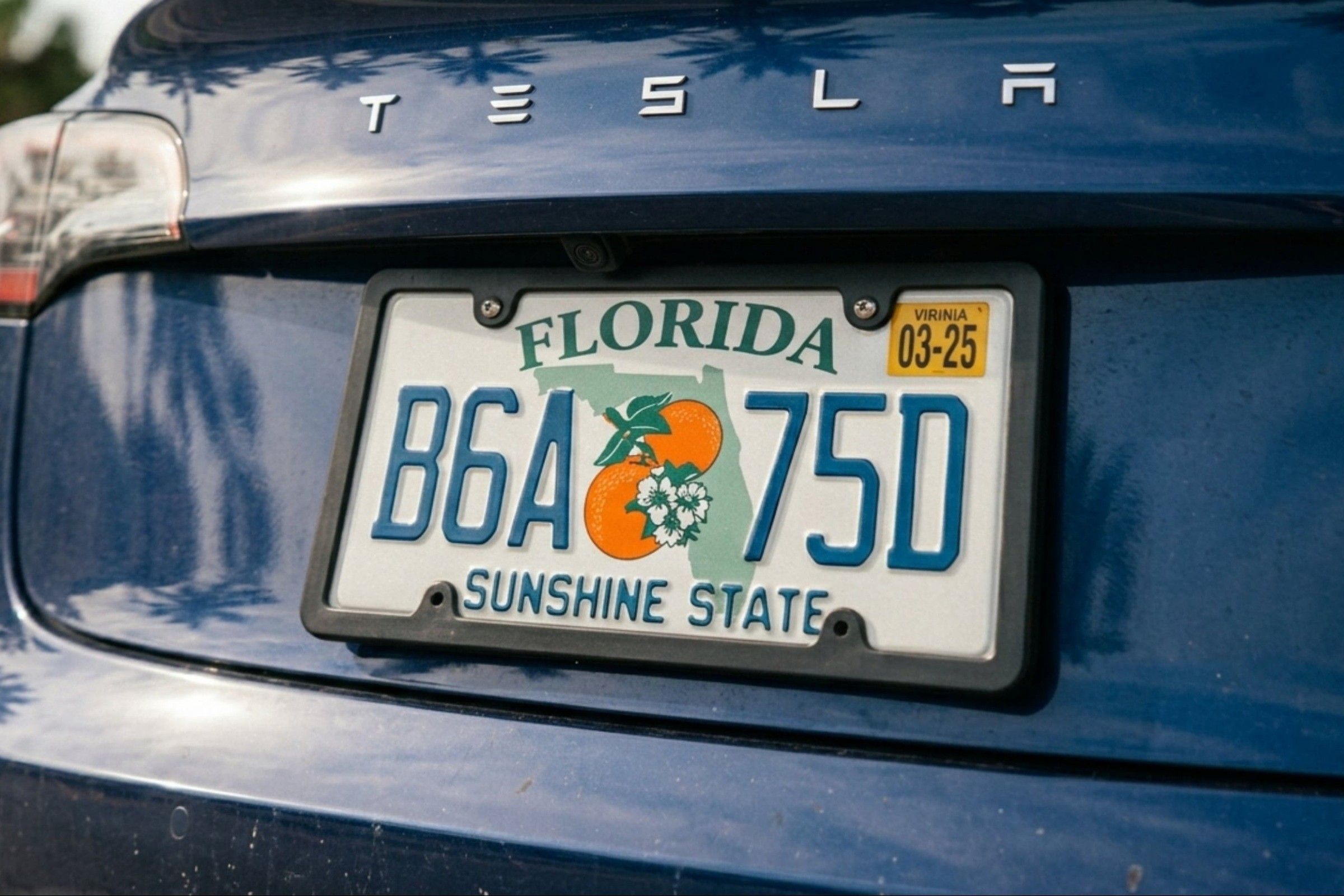 Renovar el registro del carro en Florida: los quioscos de Publix también abren los fines de semana