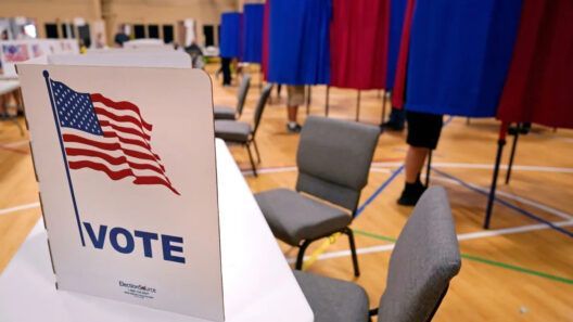 ICE revisó unos 99 millones de registros electorales en Estados Unidos