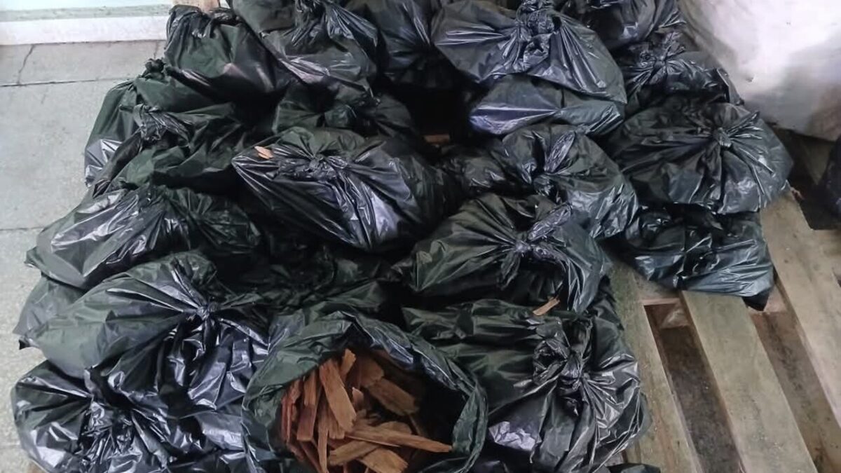 Vuelve la pinotea a 250 pesos para encender carbón en Santa Clara