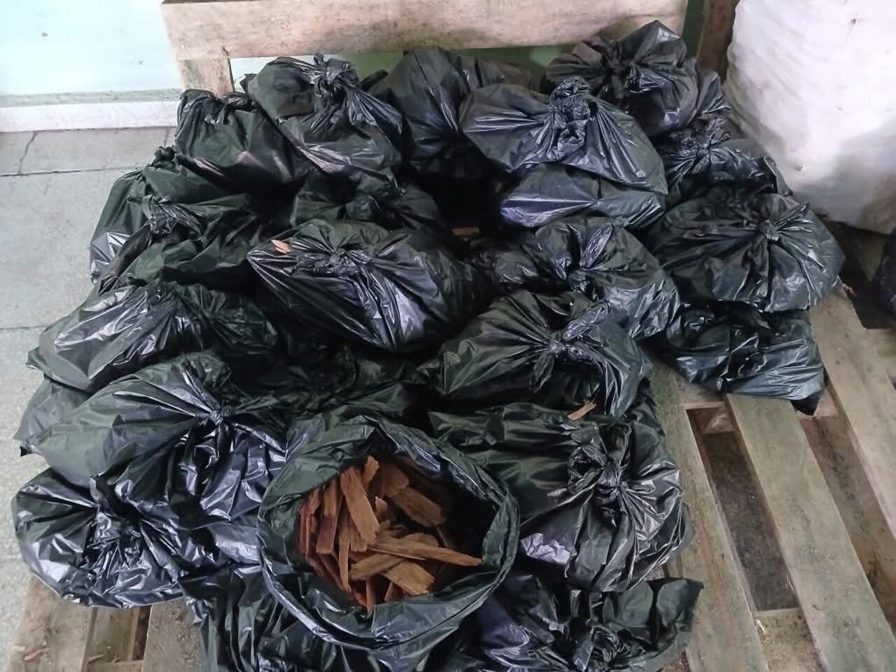 Vuelve la pinotea a 250 pesos para encender carbón en Santa Clara