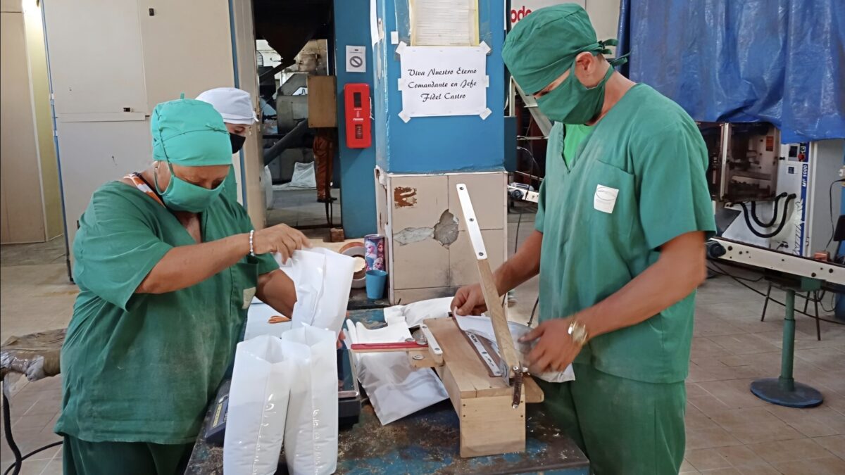 Producción de café en Camagüey: la torrefactora recurre a privados y reajusta su trabajo