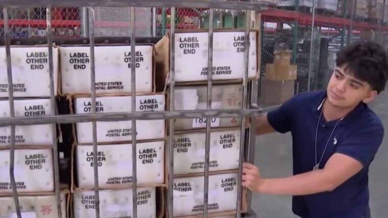 Cerró la solicitud de voto por correo en Miami-Dade: ¿cómo votar ahora?