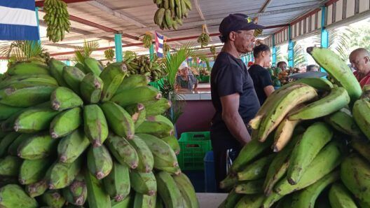 Inspecciones en Ciego de Ávila hallan alimentos vencidos y precios abusivos