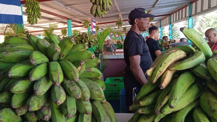 Inspecciones en Ciego de Ávila hallan alimentos vencidos y precios abusivos