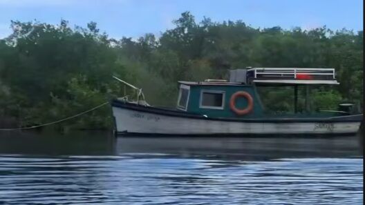 Dos embarcaciones llevan a 11 cubanos a Quintana Roo