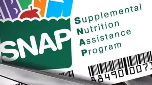 SNAP pierde 5,5 millones de beneficiarios en un año
