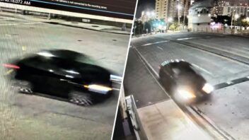Atropello mortal en Miami: buscan un Toyota que huyó de Overtown