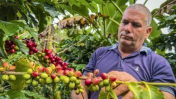 Precio del café en Campechuela: el arábico de primera sube a 1.000 pesos por lata