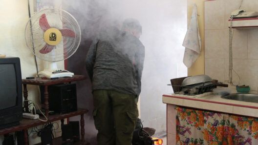 Realizan saneamiento en Banao para prevenir riesgos sanitarios