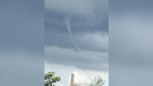 Reportan tromba en Artemisa: dónde se esperan lluvias y tormentas hoy en Cuba