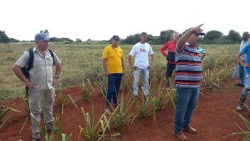 CubaFruta en Matanzas: apoyo italiano llega a más de 1.400 productores