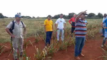 CubaFruta en Matanzas: apoyo italiano llega a más de 1.400 productores
