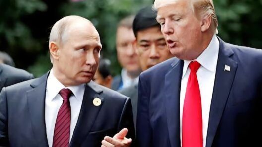 Trump deja sin aplicar nuevas sanciones a Rusia aprobadas por el Congreso