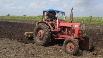 Camagüey planea sembrar más de 1.600 hectáreas pese a la escasez de combustible