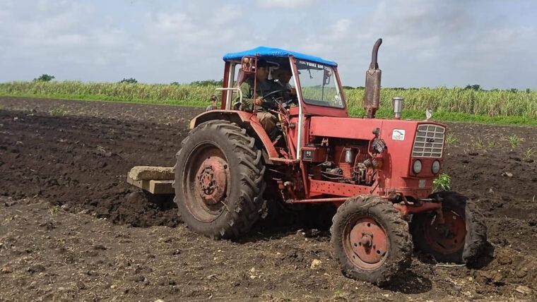 Camagüey planea sembrar más de 1.600 hectáreas pese a la escasez de combustible