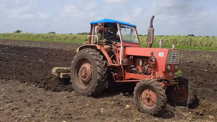 Camagüey planea sembrar más de 1.600 hectáreas pese a la escasez de combustible