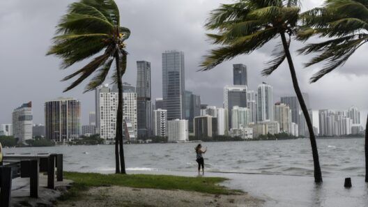 Alerta meteorológica en Miami: este es el pronóstico del tiempo para hoy