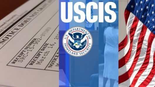 Alerta para cubanos en Estados Unidos: ¿pueden deportarte aunque no recibas la citación?