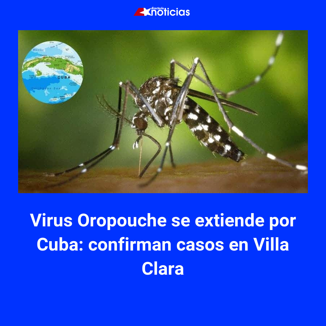 Virus Oropouche se extiende por Cuba: confirman casos en Villa Clara