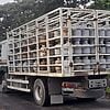 cupet nuevos requisitos balitas gas