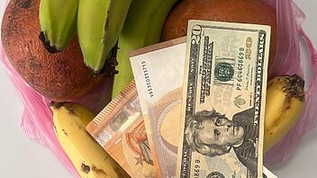 precios divisas cuba hoy