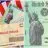 IRS aclara sobre envíos de cheques de estímulo en septiembre