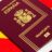 pasaporte español ley nietos